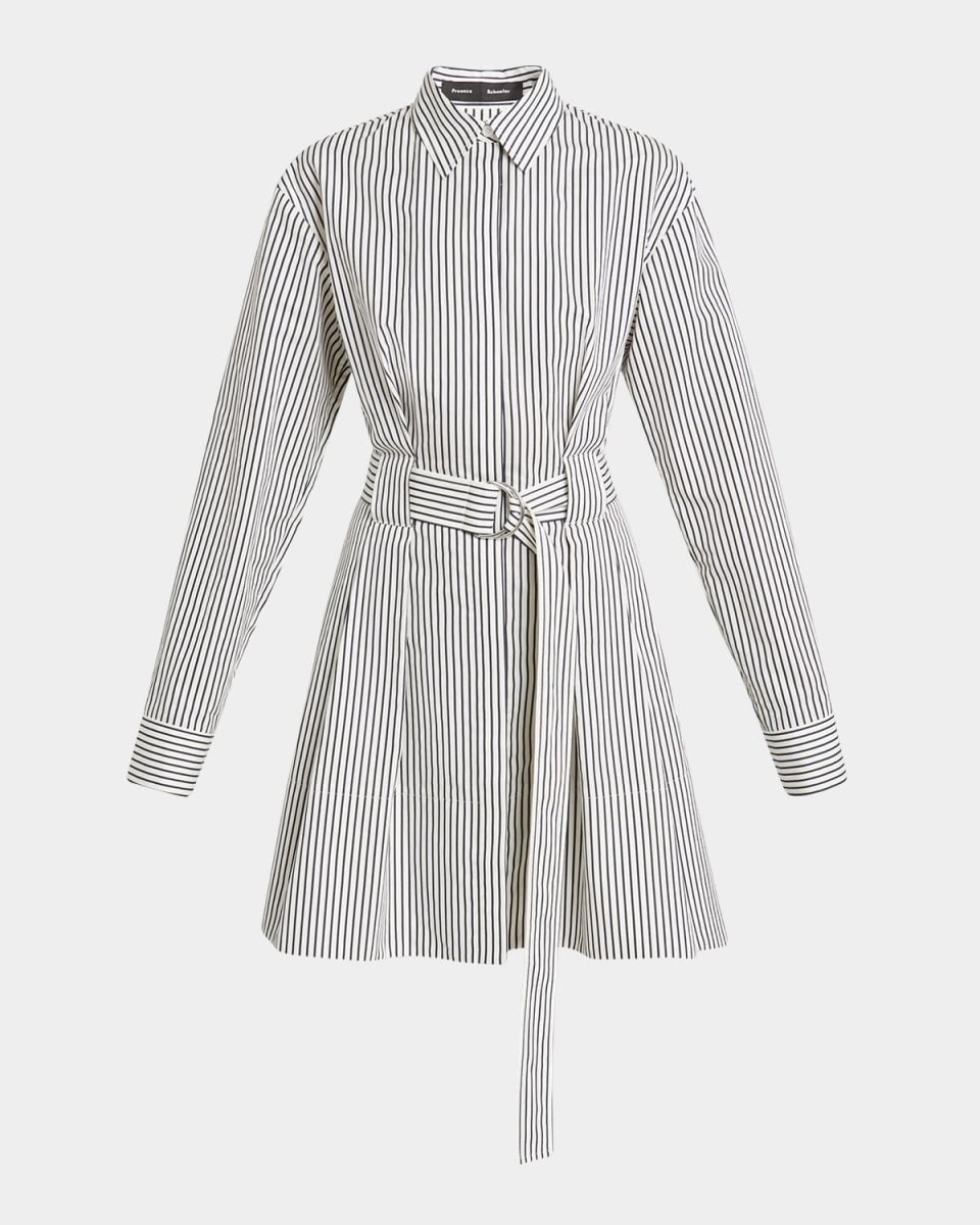 Violan Stripe Belted Poplin Mini Dress